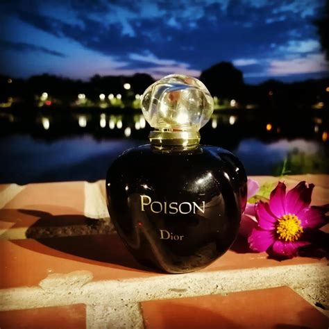 perfume like dior poison.